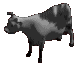Moo